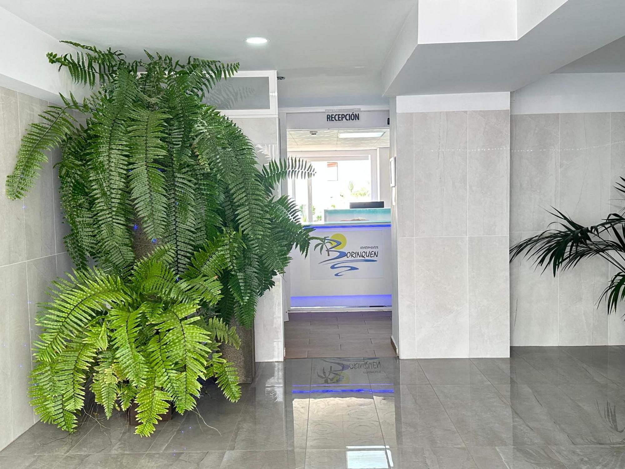 Apartamentos Borinquen プラヤ・デ・ラス・アメリカス エクステリア 写真